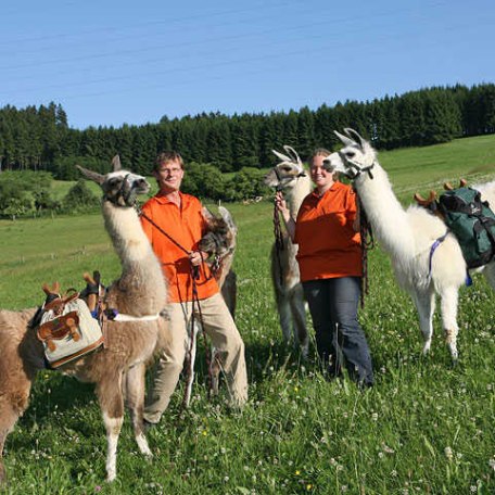 Lama, © im-web.de/ Touristinformation Fischbachau