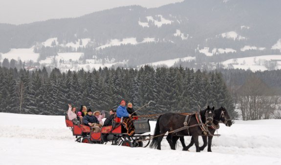 pferdeschlitten_1 pferdeschlitten_1