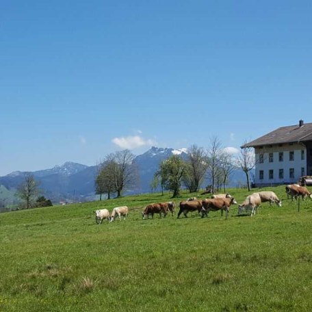 Biohof Unterstadl mit Bergblick, © im-web.de/ Touristinformation Fischbachau