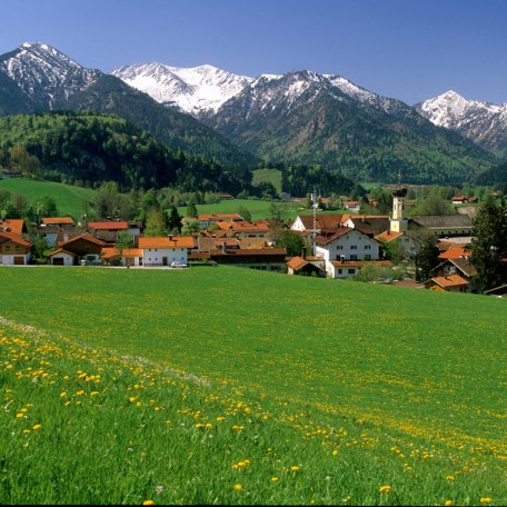 Alpenregion 05.05-10 Alpenregion 05.05-10