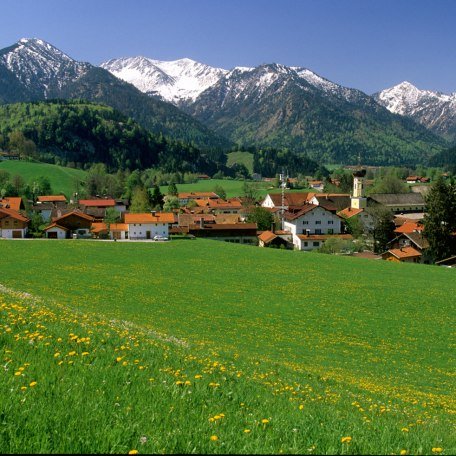 Alpenregion 05.05-10 Alpenregion 05.05-10