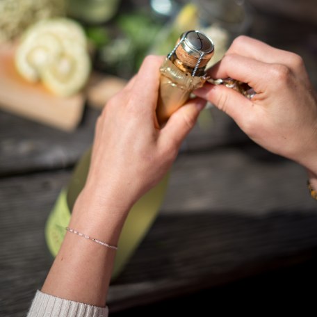 Holler-Kräuter-Spritz Holler-Kräuter-Spritz