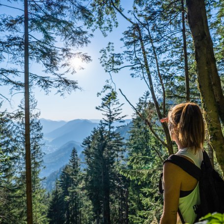 Wendelstein Streifz&uuml;ge Meditationsweg, &copy; Fotos: Andrea Mittermeier, www.andreamittermeier.de (http://www.andreamittermeier.de)