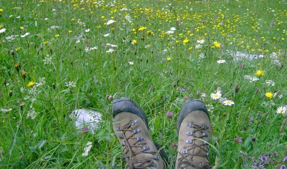 Gemeinde.jpg Gemeinde.jpg