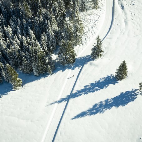 Langlauf Bayrischzell-47