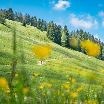 Unterwegs am Schliersberg, © Alpenregion Tegernsee Schliersee