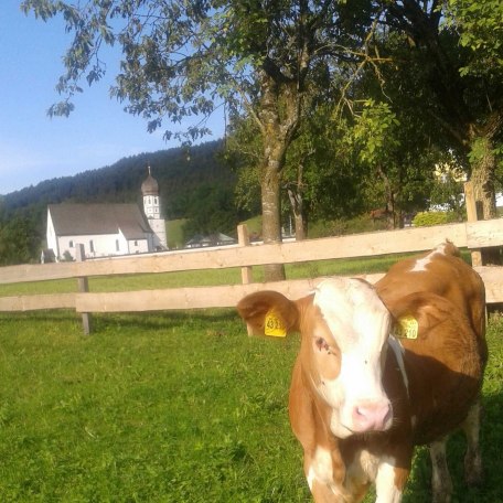 Umgebung, &copy; im-web.de/ Touristinformation Fischbachau