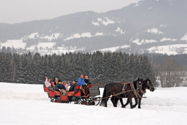 pferdeschlitten_1