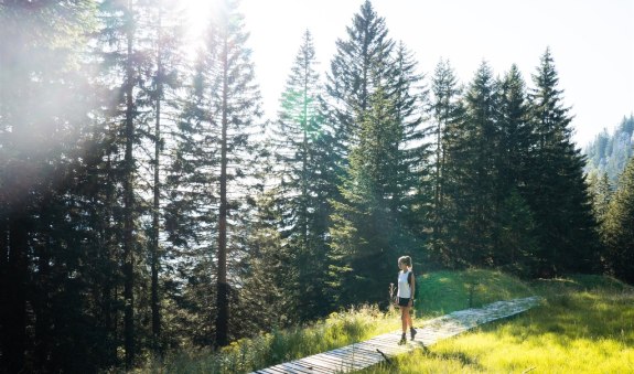 Wendelstein Streifz&uuml;ge - Meditationsbergweg, &copy; Alpenregion Tegernsee Schliersee