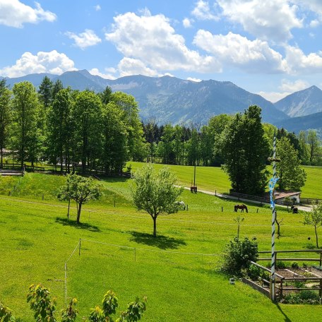 Panoramablick vom Balkon der FeWo, © im-web.de/ Touristinformation Fischbachau