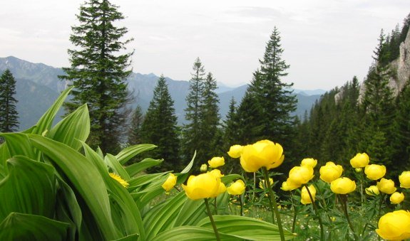 bilder-dialler-baerbel-058 bilder-dialler-baerbel-058