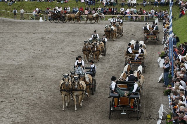 Vierspänner Quadrille