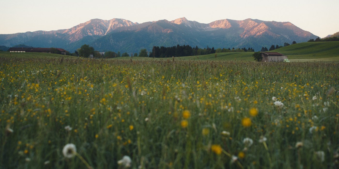 Frühling Leitzachtal Frühling Leitzachtal