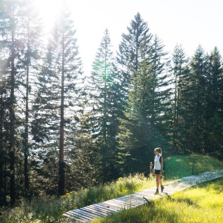Wendelstein Streifz&uuml;ge Meditationsweg, &copy; Fotos: Andrea Mittermeier, www.andreamittermeier.de (http://www.andreamittermeier.de)