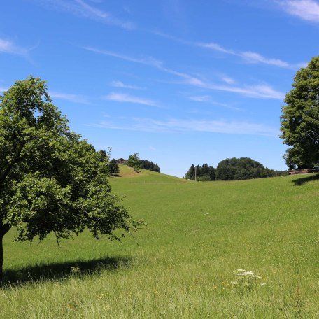 Ausblick, &copy; im-web.de/ Touristinformation Fischbachau
