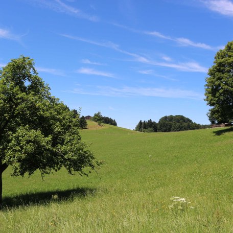 Ausblick, © im-web.de/ Touristinformation Fischbachau