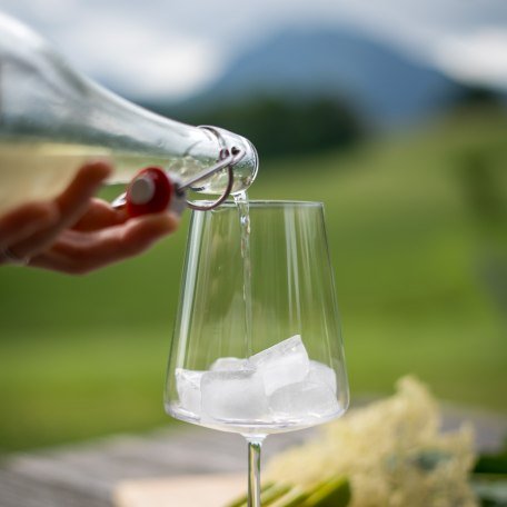 Holler-Kräuter-Spritz Holler-Kräuter-Spritz